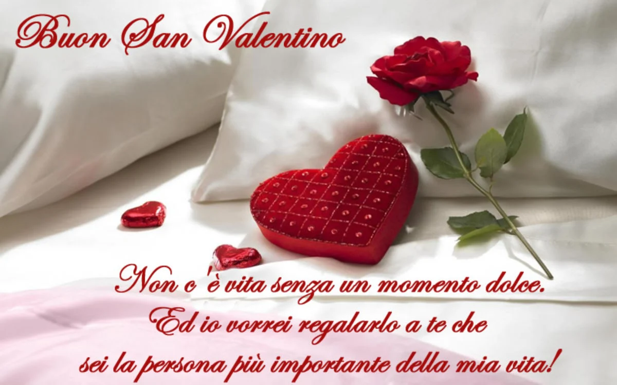 Buongiorno buon San Valentino 2024, le frasi e immagini più romantiche da  mandare su Whatsapp e Facebook. – Controcopertina